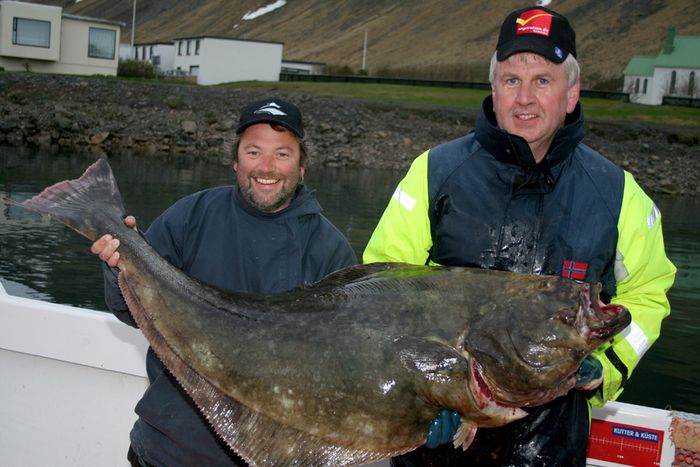 Reinar og Paul 32 kg halibut