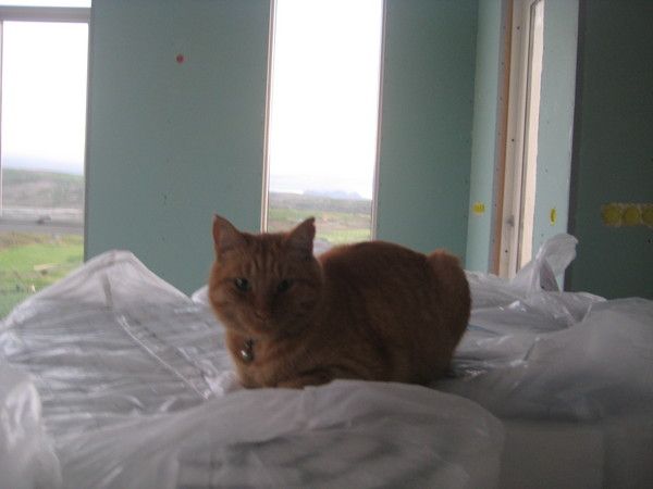 IMG 0125