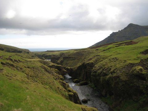 IMG 0814