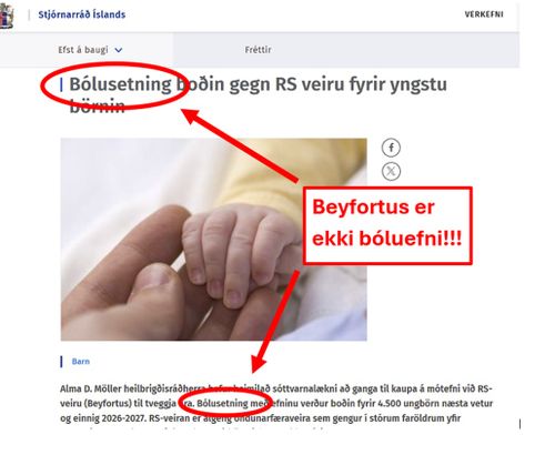 beyfortusl-ekki-boluefni