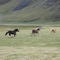 img 8875 1444011
