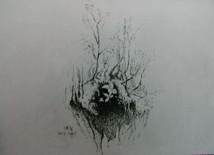 Tr005