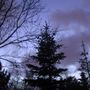 unfocused