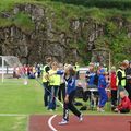 Kippir í kynið