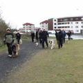 IMG 7779
