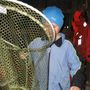 img 1287.jpg