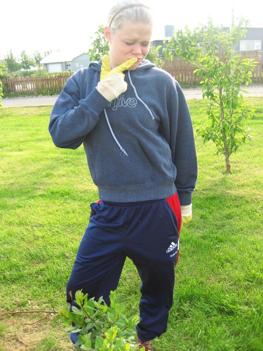 Vinnusklinn '07 002