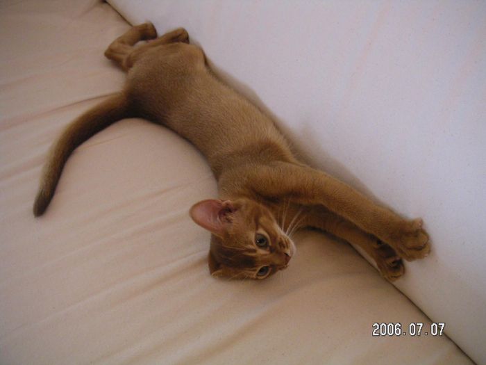 streeeeching