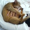 sooo cozy