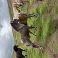 img 0585 1455474