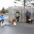 IMG 7782