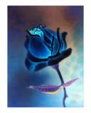 th john-fitzgerald-blue-rose