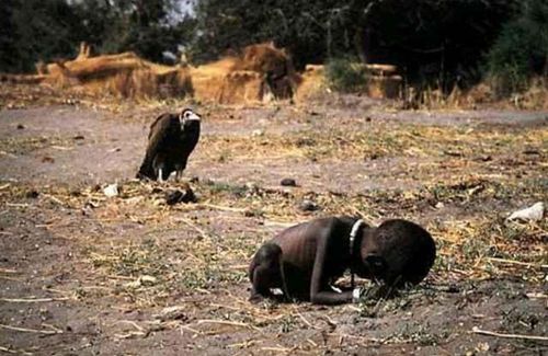 world hunger