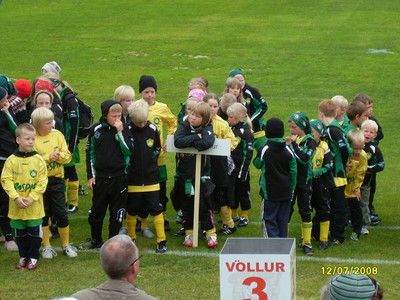 Setning Nikulsarmtsins