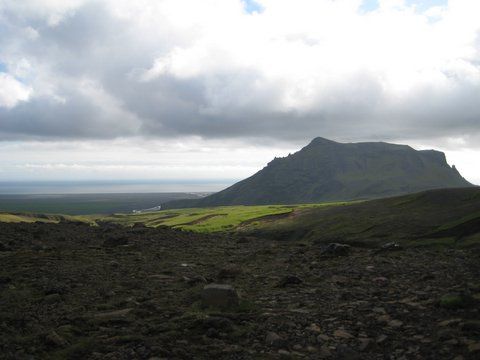IMG 0817