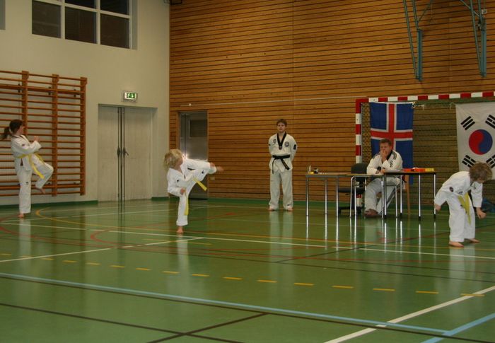 TaiKwonDo gula belti 231