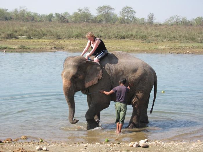 Chitwan National Park 005