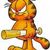 Smmynd: Garfield