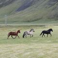 img 8857