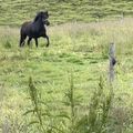 img 0098