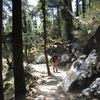 Dharamsala 063
