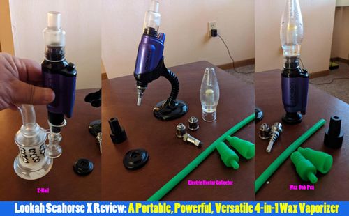 Lookah Seahorse X Review