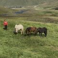 img 0957