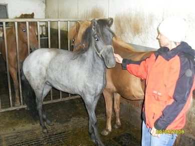 Birta litla Hryms og Kolfinnudttir