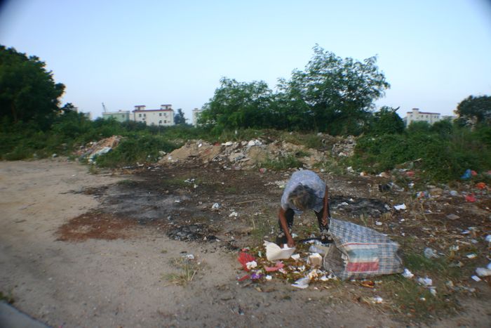 Safna  sarpinn
