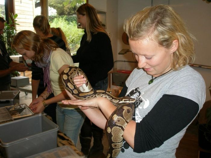 Reptile room