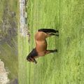 img 0375 1455149