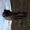 img 8189 1436762