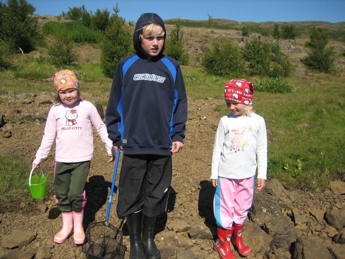 Vi Hrearvatn