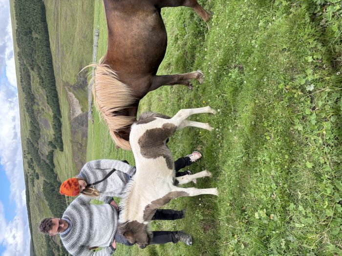 img 0404 1455175