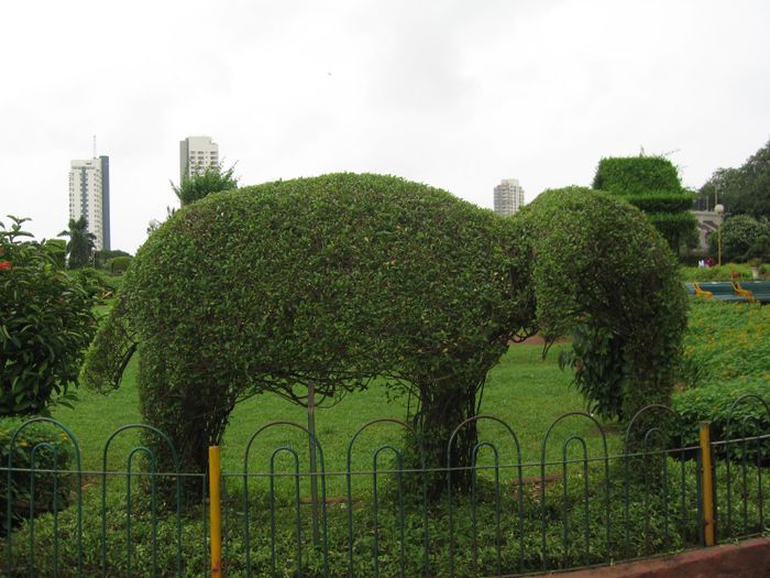 I Hanging gardens