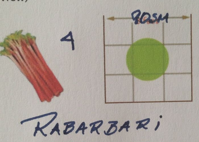 Rabarbari
