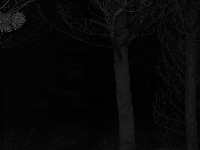 Darkness Visits
