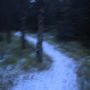 flurry