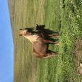 img 0171 1454615