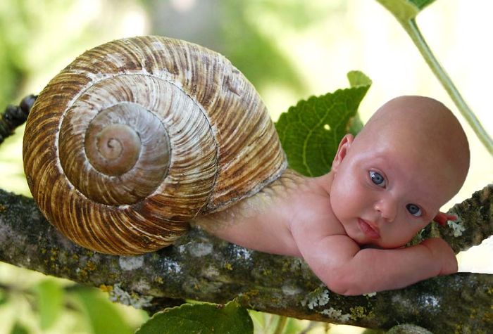 938-snail-baby