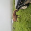 img 0051