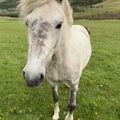 img 0851