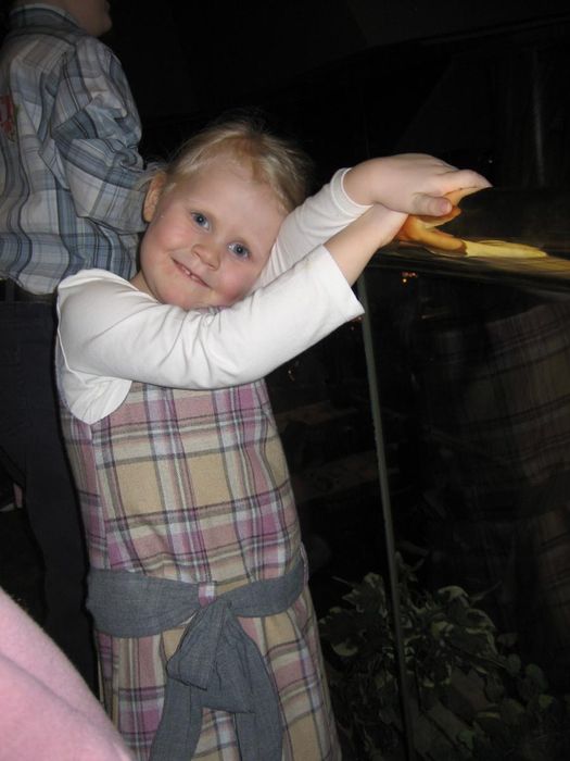 Anna Linda mn
