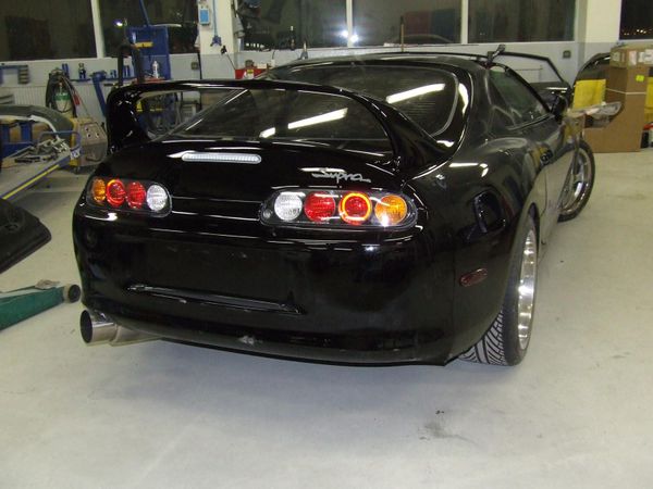 supra 015.jpg