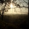 Kathmandu and Chitwan1 060