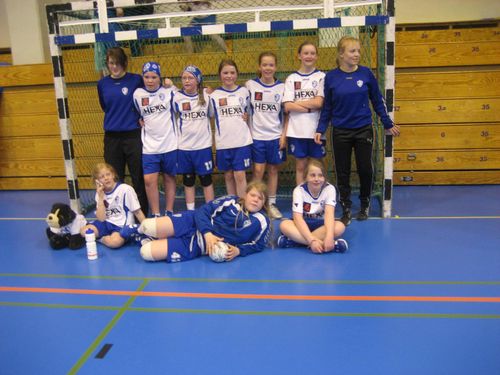slandsmeistarar  handbolta