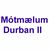 Mótmælum Durban II