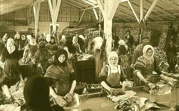 fiskvinnslukonur-1910-1920-kirkjusandur