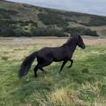 img 0922