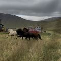 img 0936